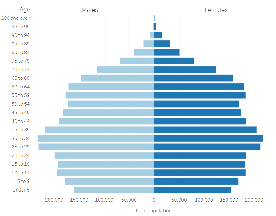 2020 Census Interactive Age Pyramids